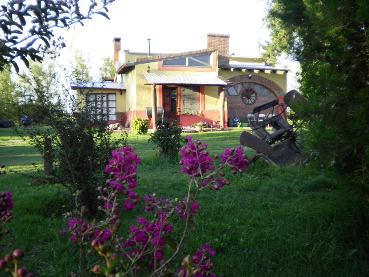 Rancul Posada De Campo Mamull Mapu מראה חיצוני תמונה